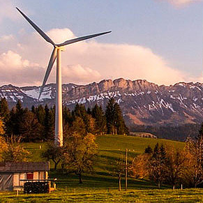 Symbolbild Grüne Neujahrsempfang Symbolbild Grüne Neujahrsempfang