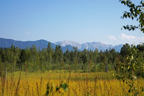 Blick aus dem Premer Filz in die Alpen