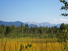 Blick aus dem Premer Filz in die Alpen