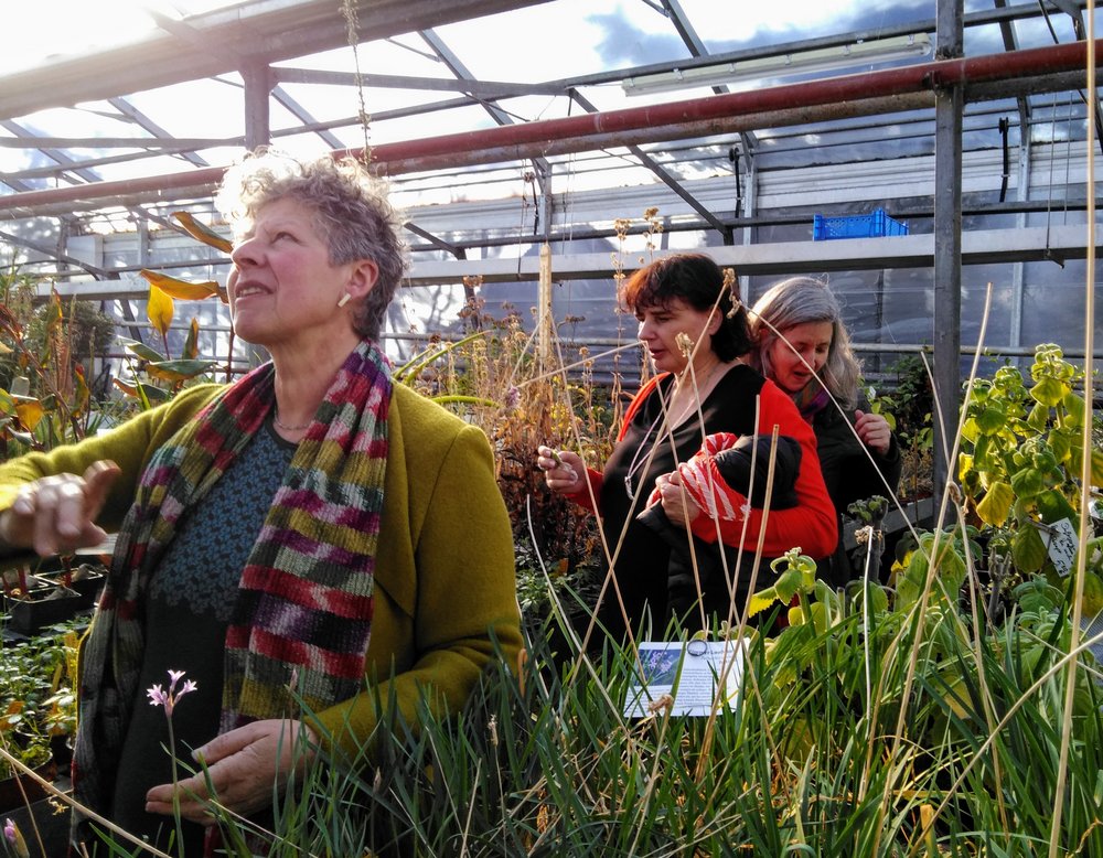 Blumenschule Schongau